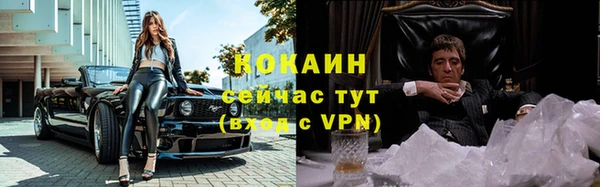 кокаин Богданович