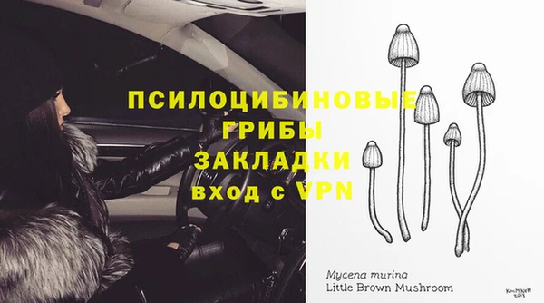 меф Богородск