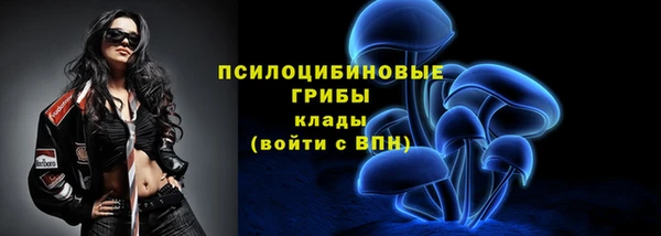 кокаин Богданович