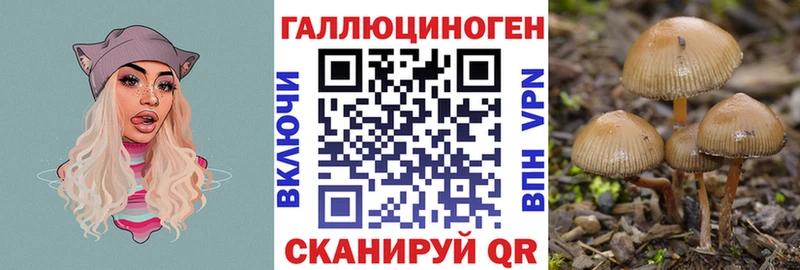 Псилоцибиновые грибы Magic Shrooms Купить где Белинский