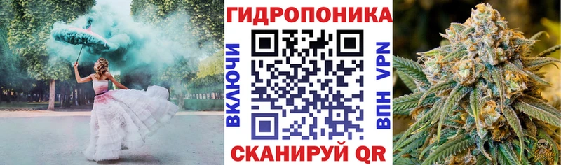Каннабис планчик  Купить где  Белинский 